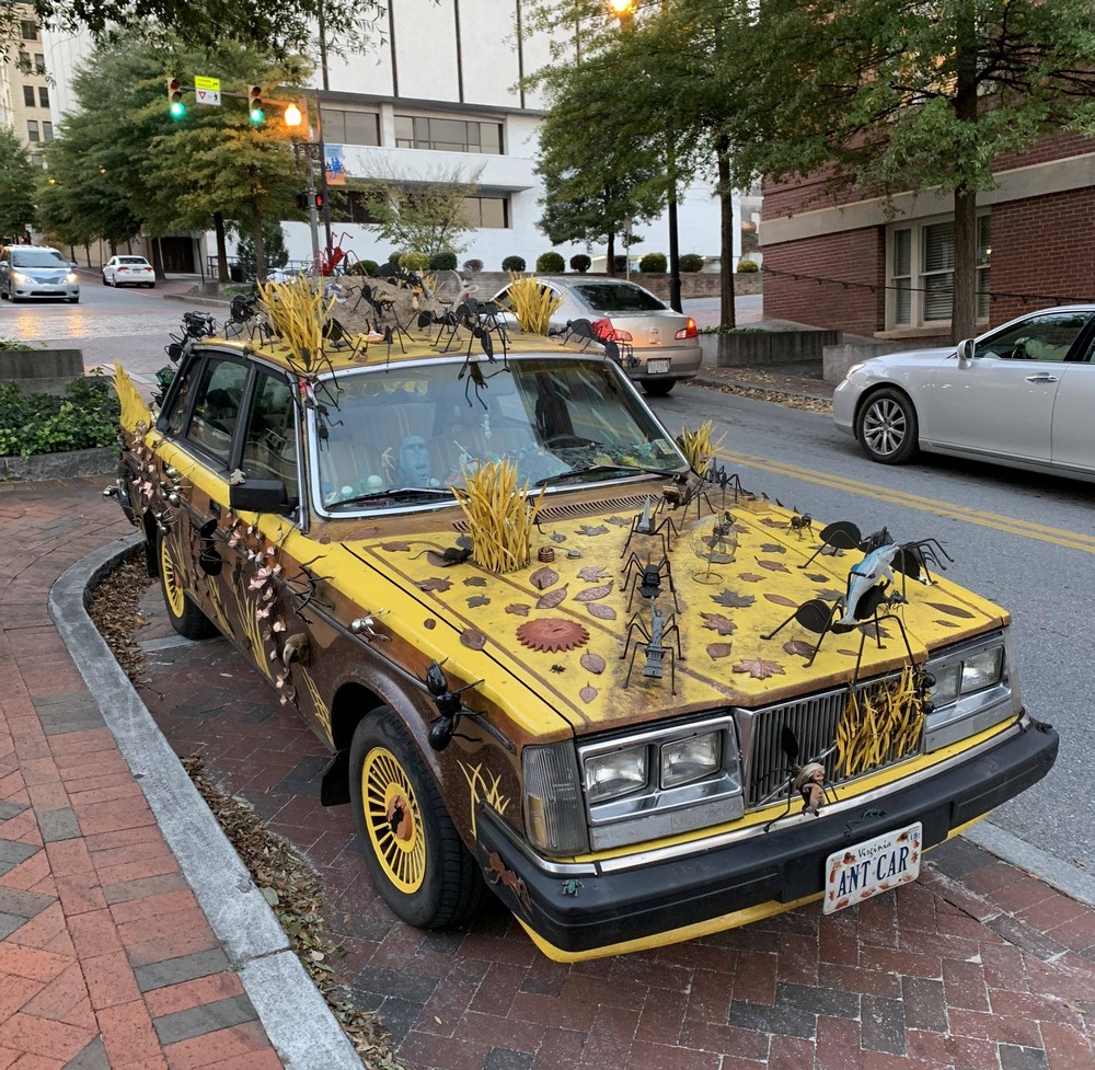 Crazy Cars (17 pics)