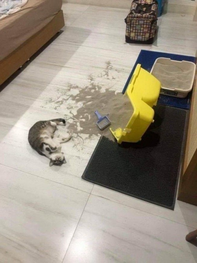 Awkward Situations (16 pics)