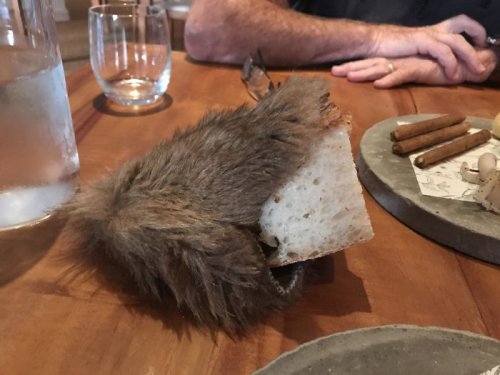 Weird Food Serving (23 pics)