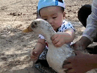 Acid GIFs, December 29 (25 gifs)