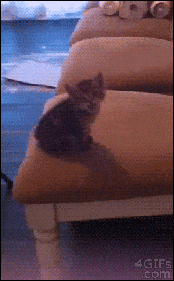 Acid GIFs, December 29 (25 gifs)