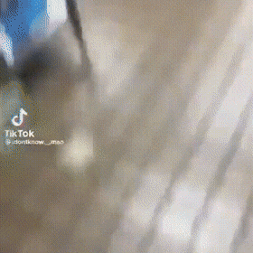 Acid GIFs, December 29 (25 gifs)