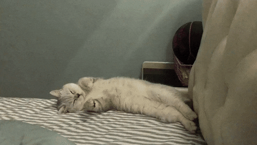 Acid GIFs, December 29 (25 gifs)