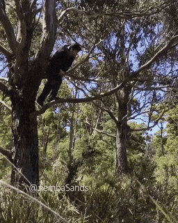 Acid GIFs, December 29 (25 gifs)