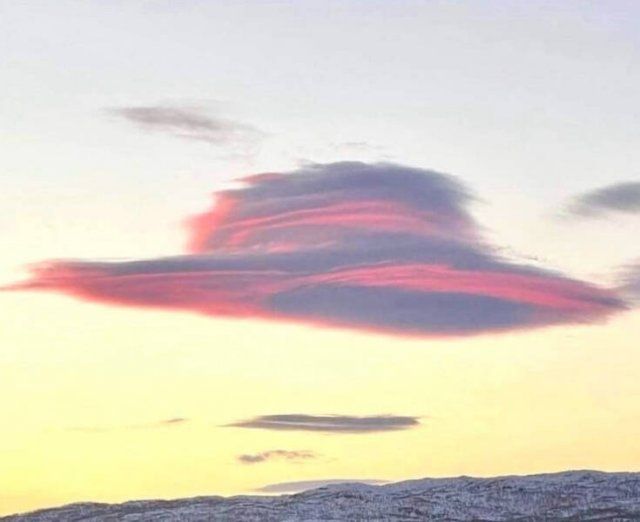 Unusual Finds (27 pics)