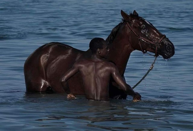 Unexpected Renaissance (19 pics)