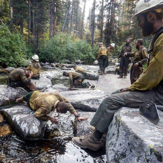 Unexpected Renaissance (19 pics)