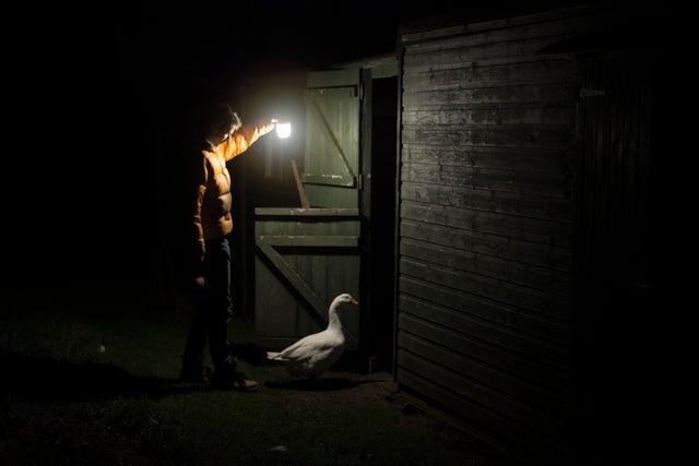 Unexpected Renaissance (19 pics)