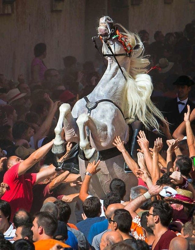 Unexpected Renaissance (19 pics)