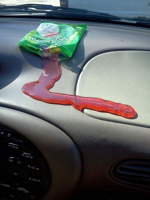 Right Moment (25 pics)