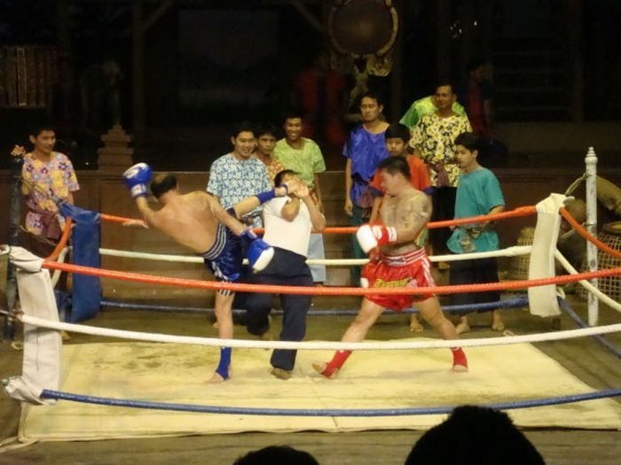 Right Moment (25 pics)