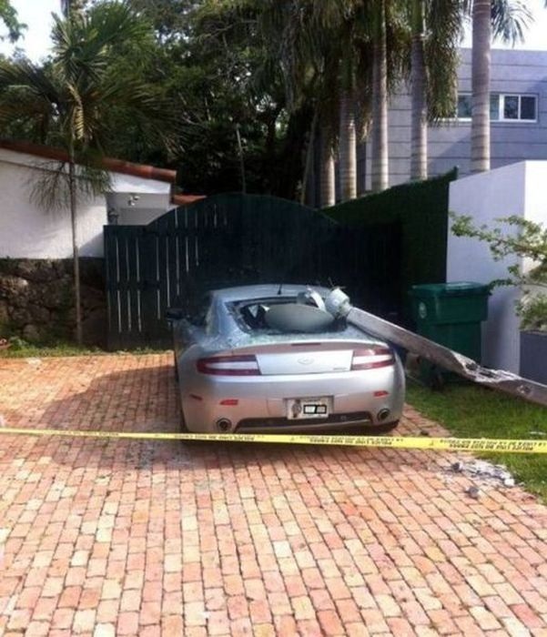 Right Moment (25 pics)