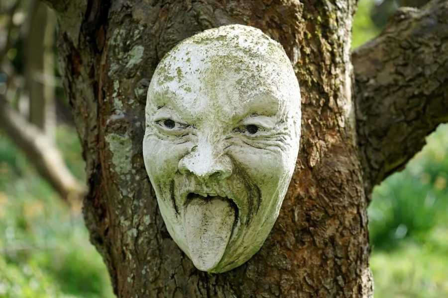 Scary Photos (22 pics)