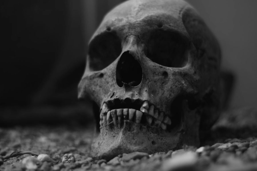 Scary Photos (22 pics)
