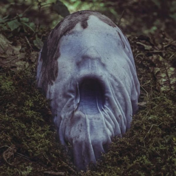 Scary Photos (22 pics)