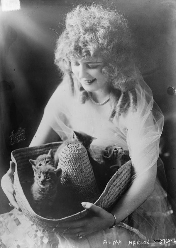 Vintage Cats Photos (25 pics)