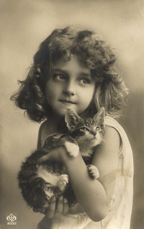 Vintage Cats Photos (25 pics)