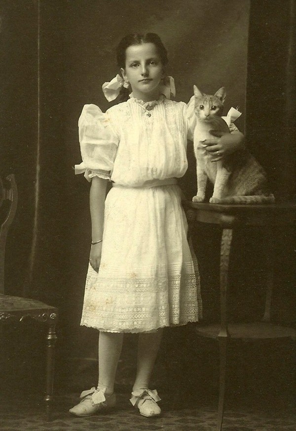 Vintage Cats Photos (25 pics)