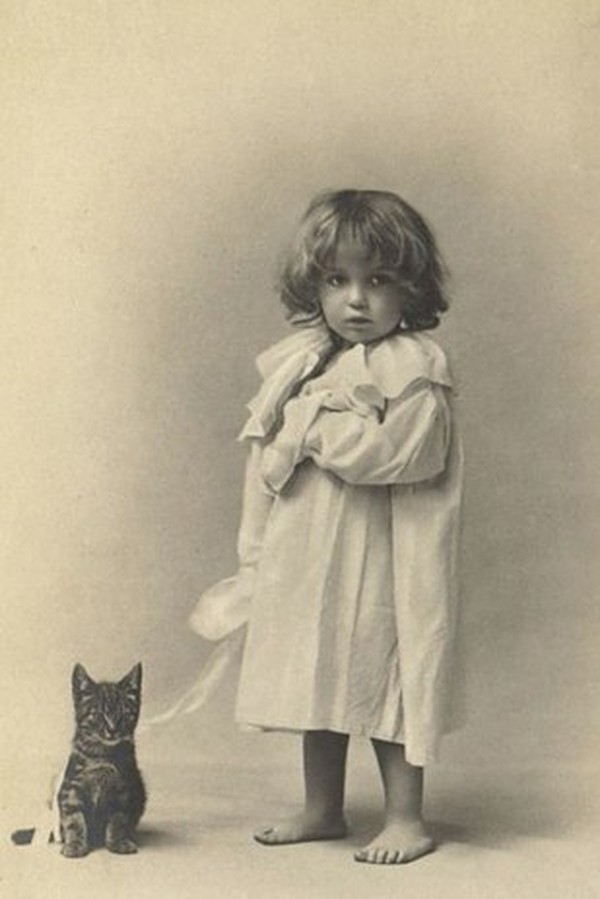 Vintage Cats Photos (25 pics)