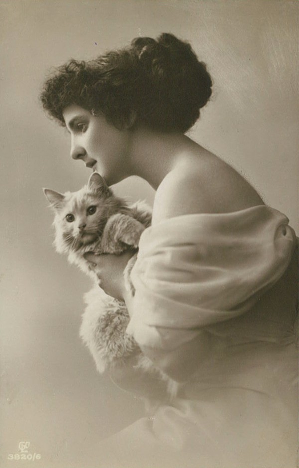 Vintage Cats Photos (25 pics)