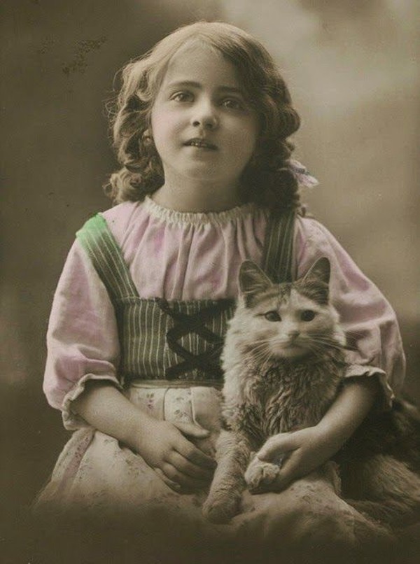 Vintage Cats Photos (25 pics)