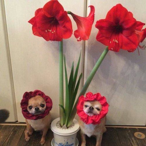 Daily Pictures. Part 1 (64 pics)