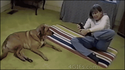 Acid GIFs, January 3 (25 gifs)
