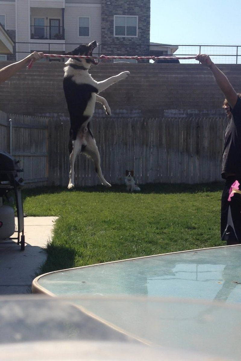 Right Moment (15 pics)