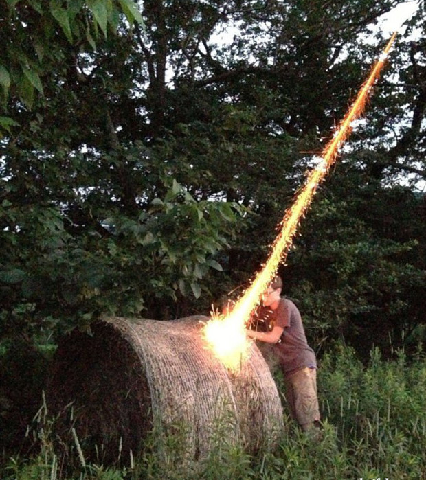 Right Moment (15 pics)