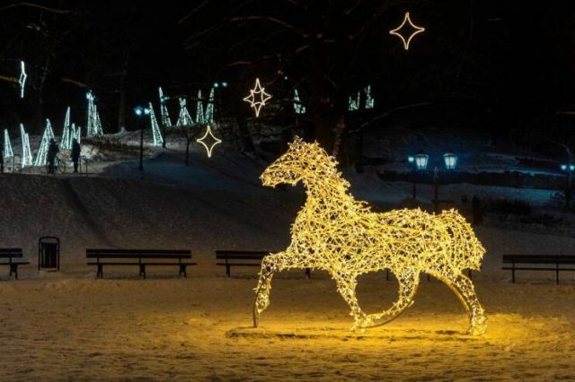 Cool Christmas Photos (20 pics)