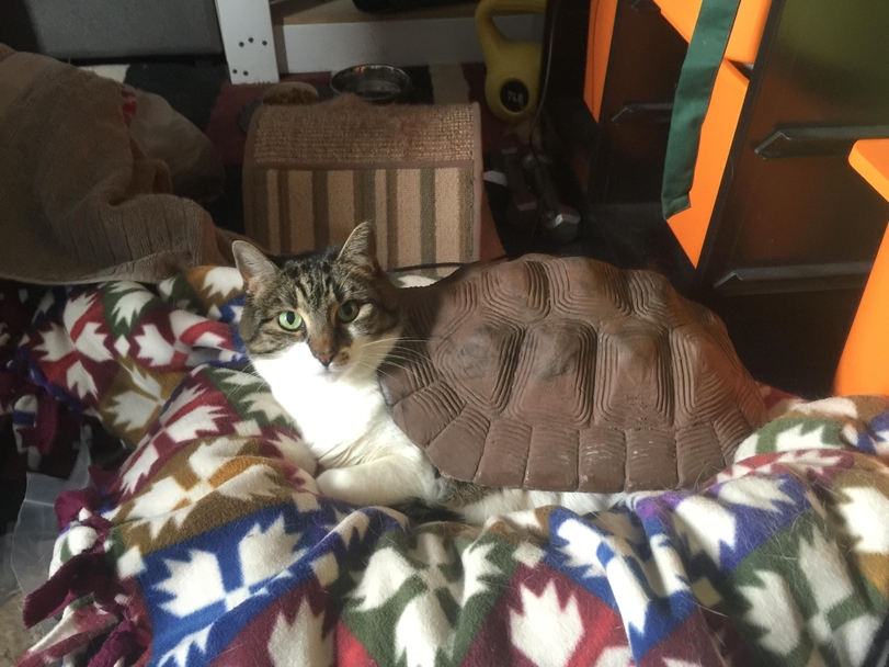Daily Pictures. Part 1 (70 pics)