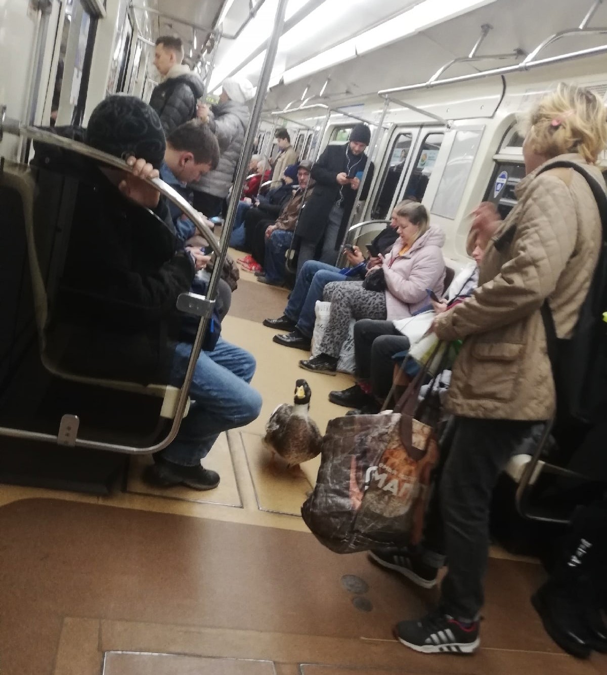 Strange People In The Subway (20 pics)