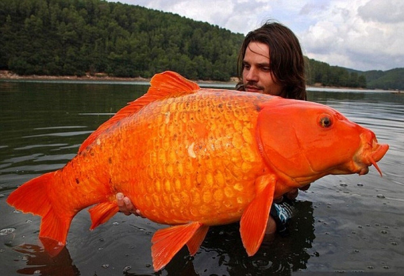 Surrealistic Photos (20 pics)