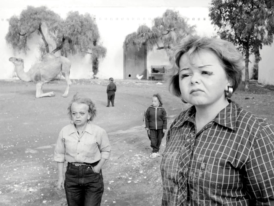 Creepy Photos (15 pics)