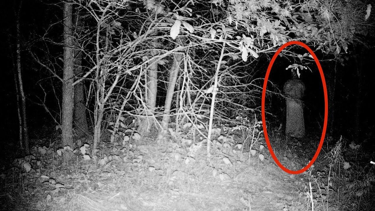 Creepy Photos (15 pics)