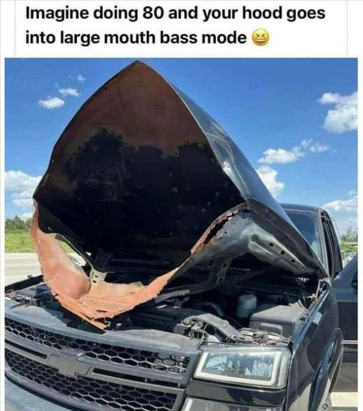 Daily Pictures. Part 2 (65 pics)