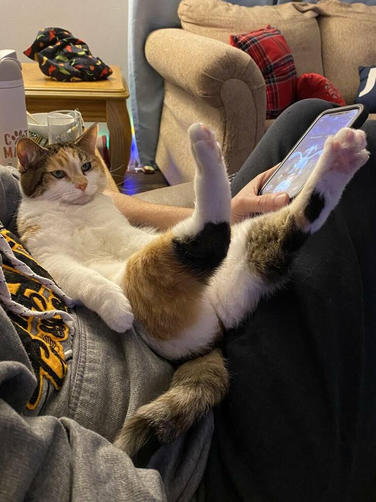 Daily Pictures. Part 2 (65 pics)