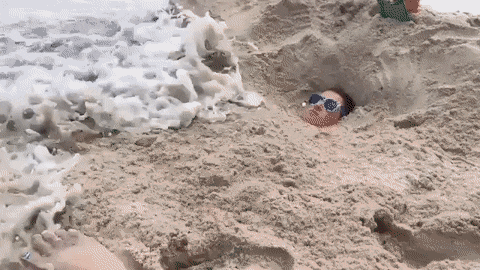 Acid GIFs, January 9 (25 gifs)