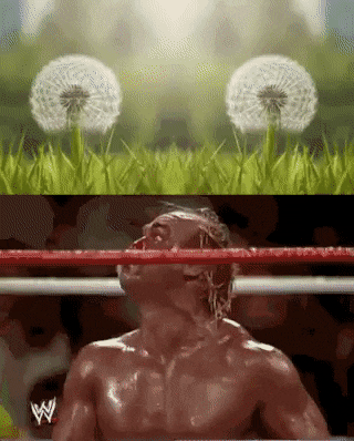 Acid GIFs, January 9 (25 gifs)