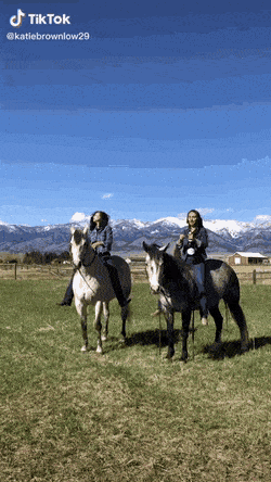 Acid GIFs, January 9 (25 gifs)