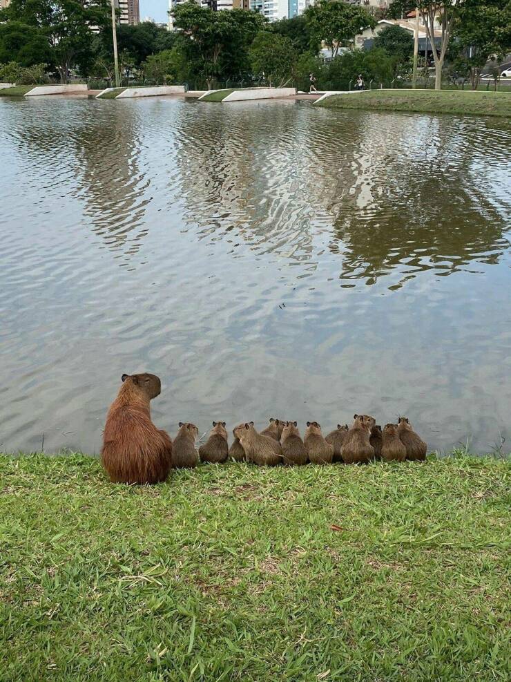 Daily Pictures. Part 2 (69 pics)