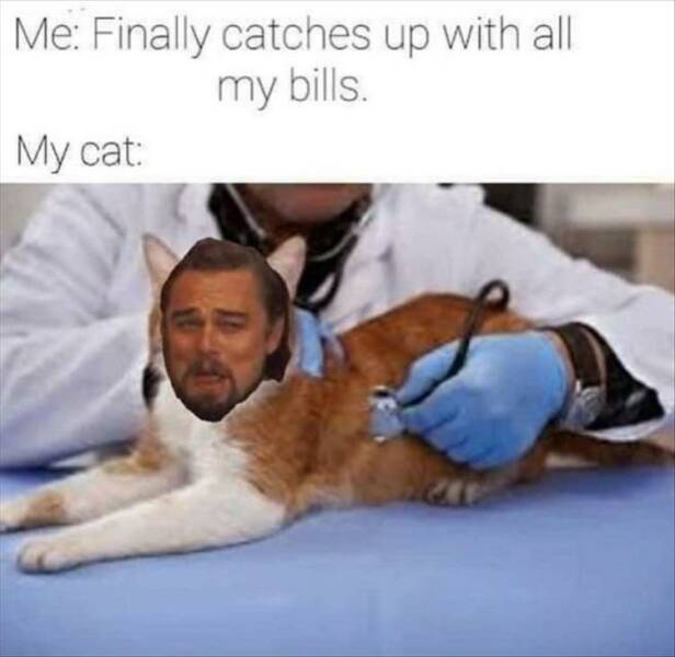 Daily Pictures. Part 2 (69 pics)