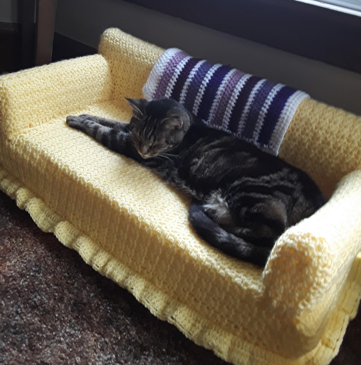 Homemade Sofas For Cats (19 pics)