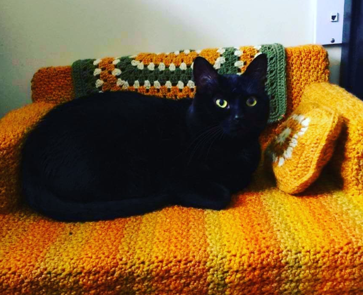 Homemade Sofas For Cats (19 pics)