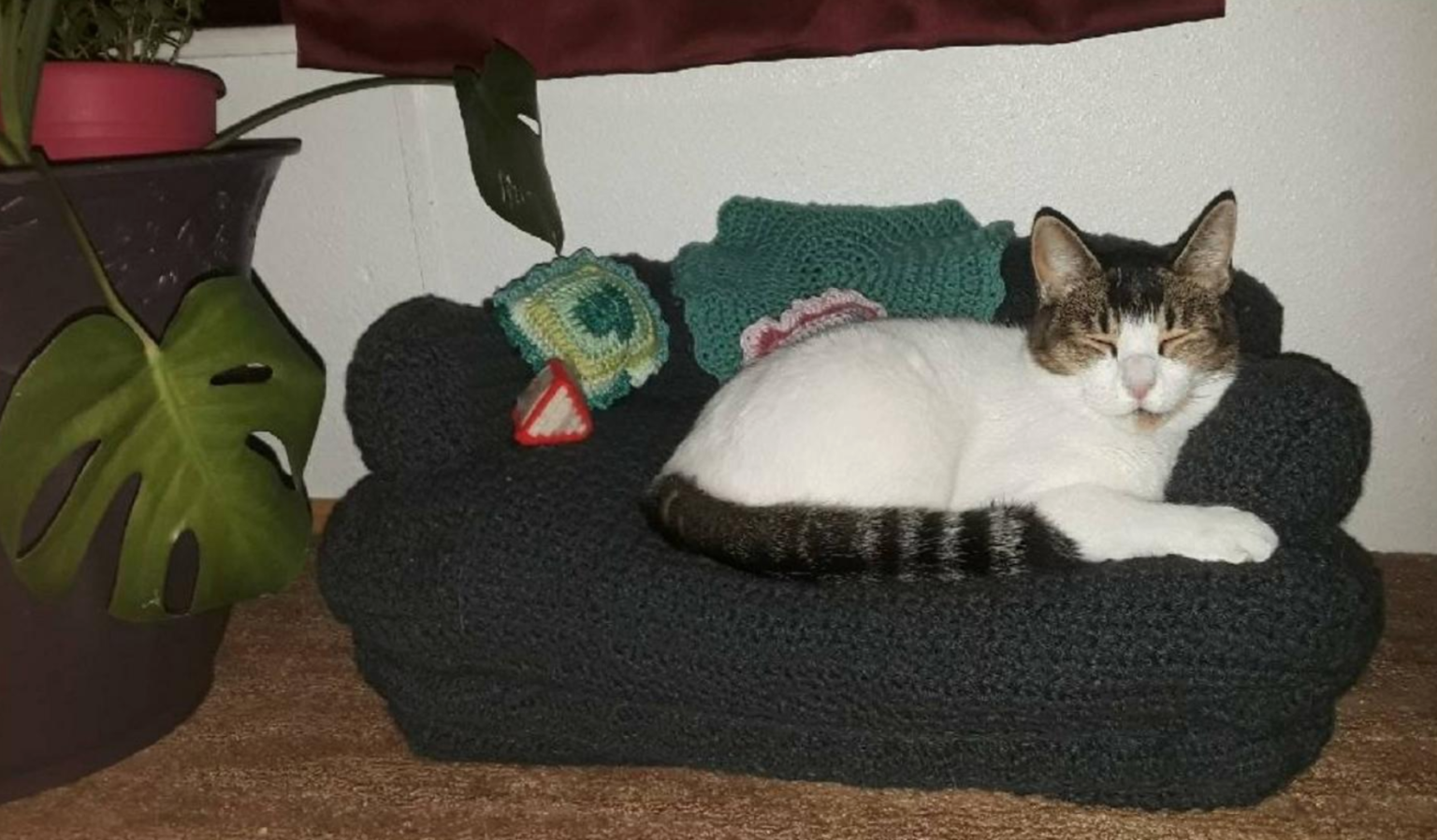 Homemade Sofas For Cats (19 pics)