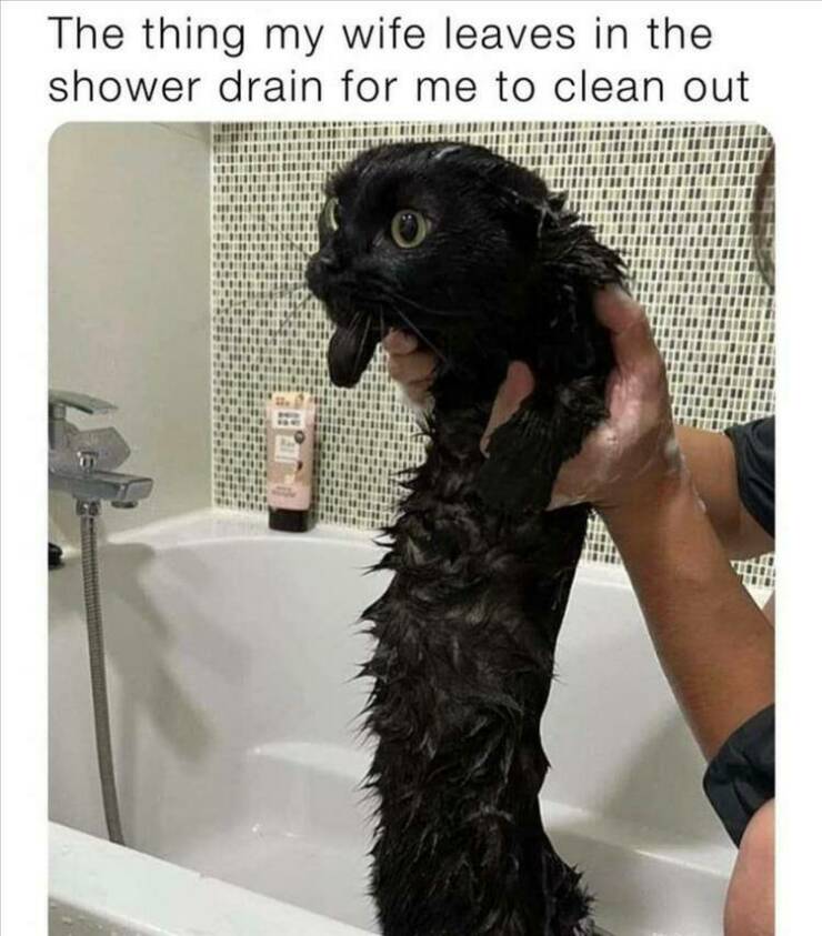 Daily Pictures. Part 2 (70 pics)