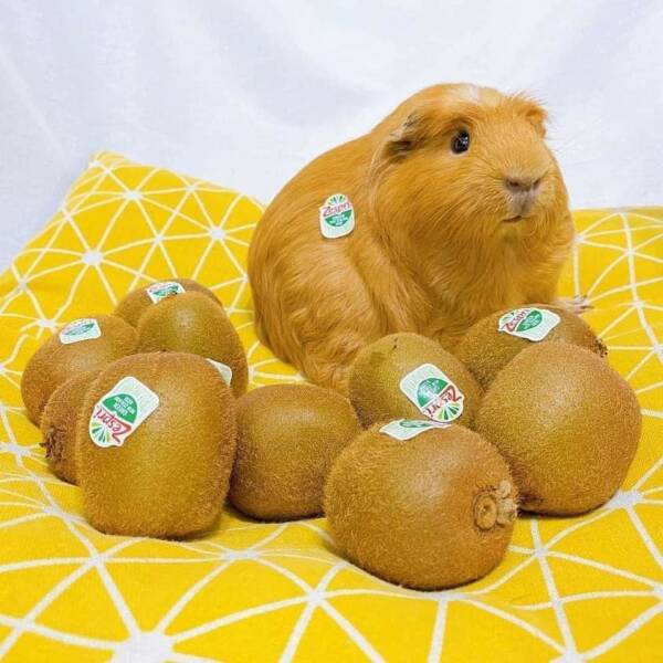 Daily Pictures. Part 2 (70 pics)