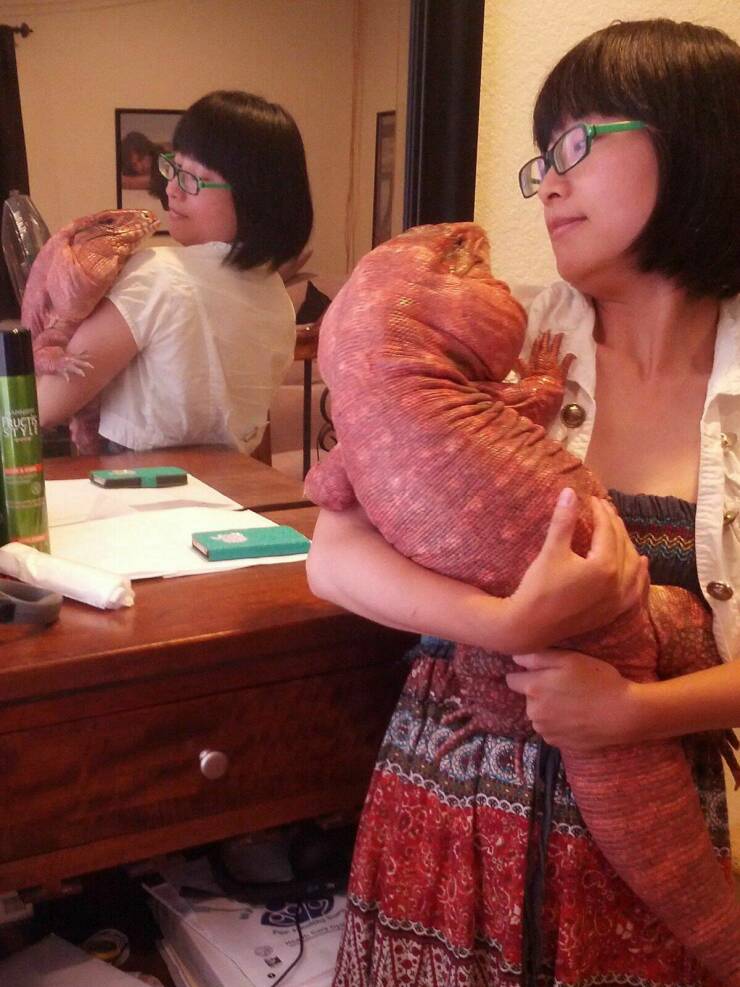 Daily Pictures. Part 1 (66 pics)
