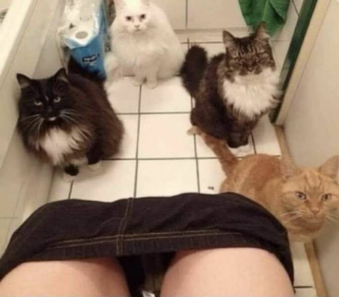Daily Pictures. Part 1 (66 pics)