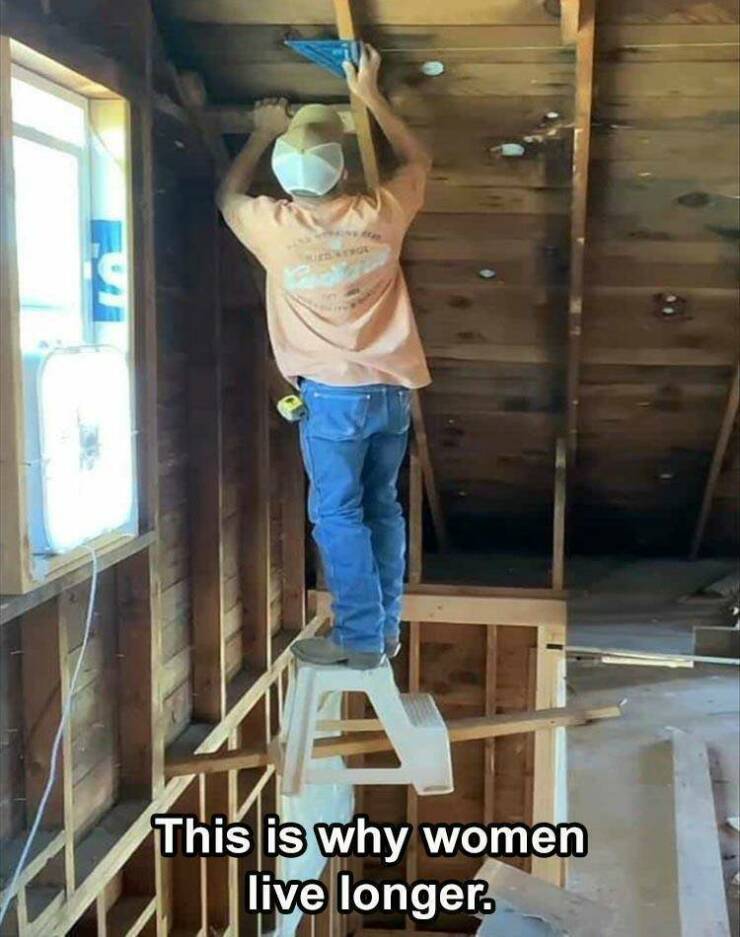 Daily Pictures. Part 2 (65 pics)